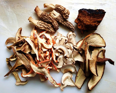 Dried-Wild-Mushrooms
