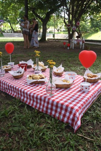 aniversário piquenique