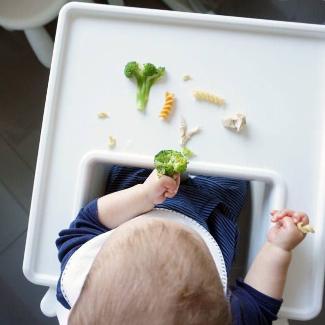 alimentação complementar