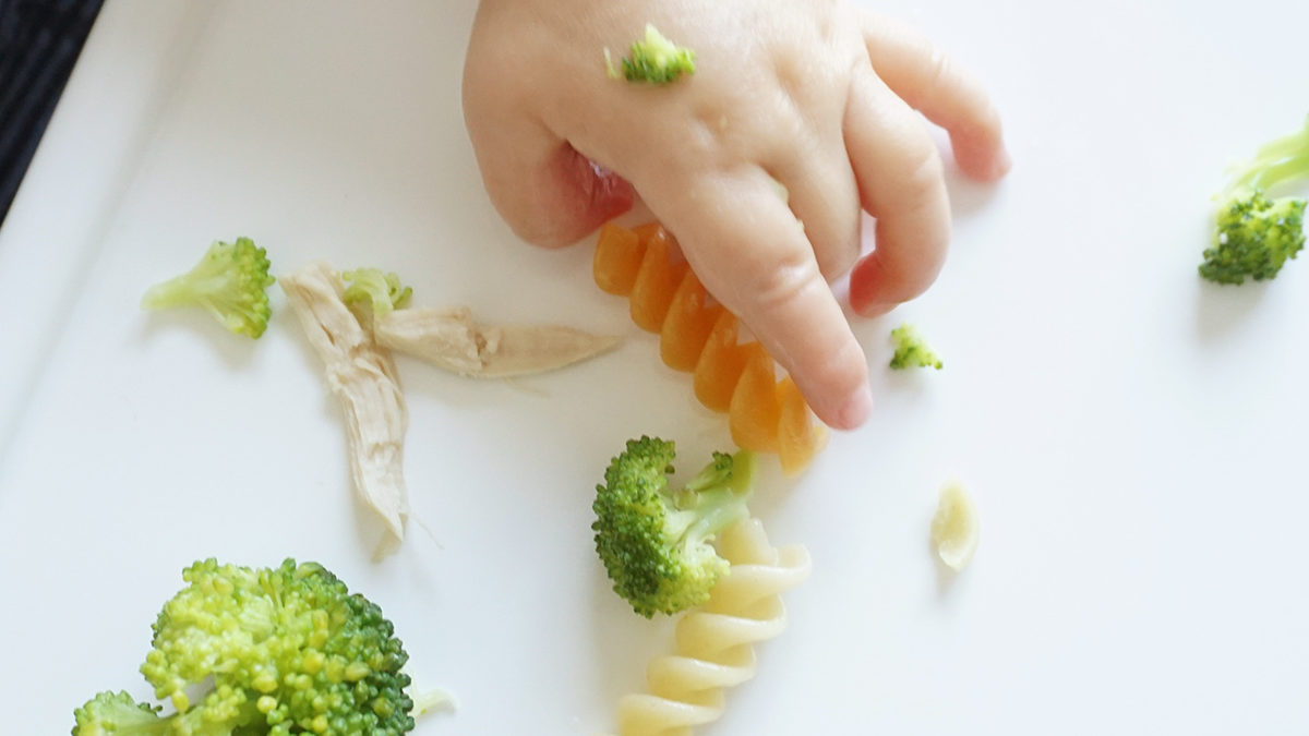 baby led weaning