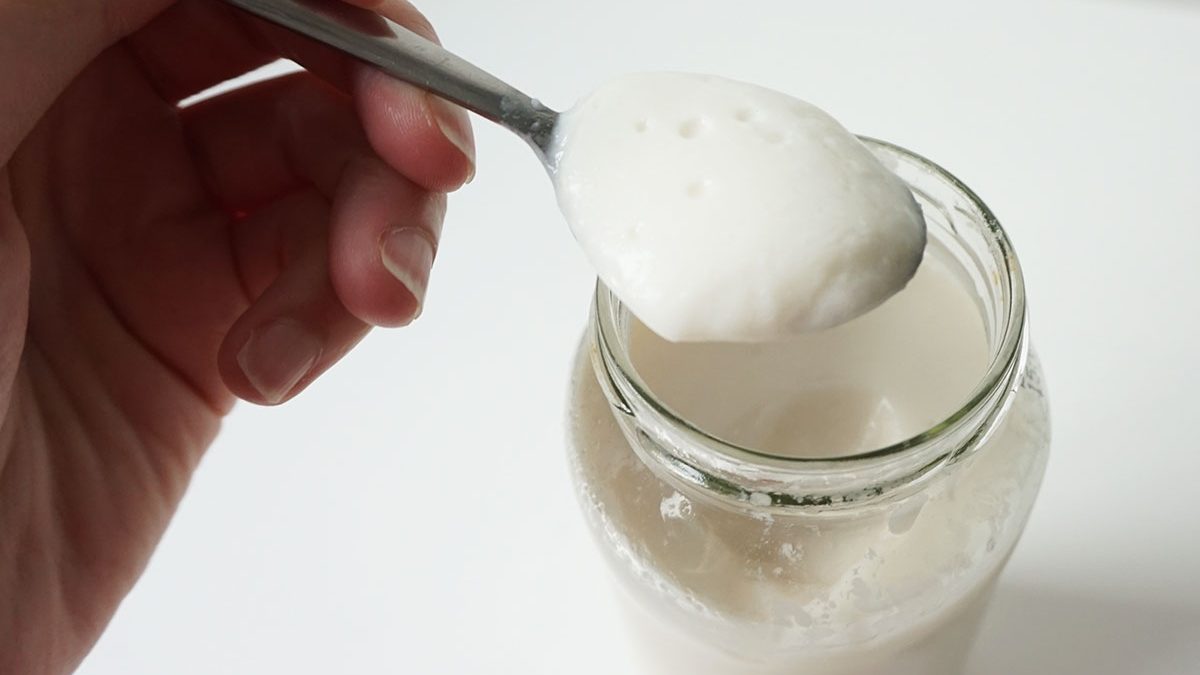 iogurte de coco
