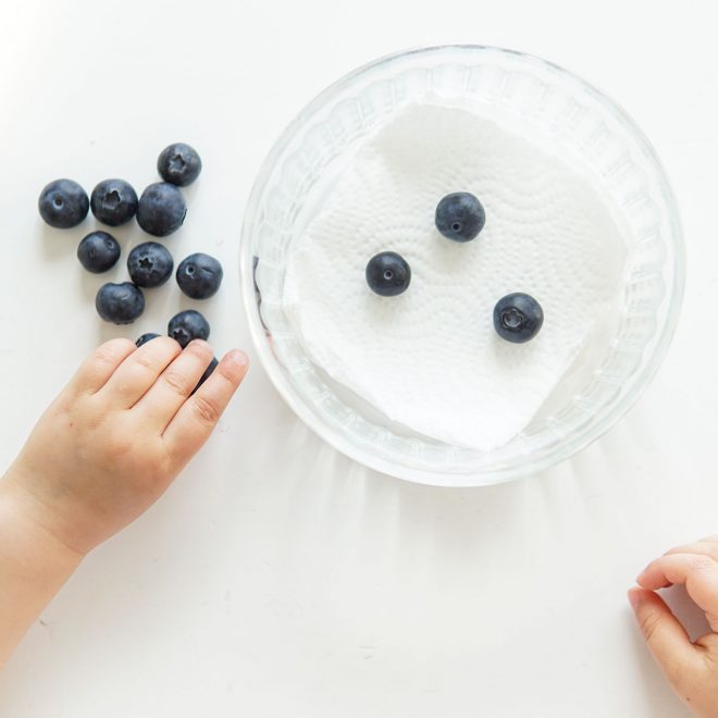 como conservar frutos vermelhos