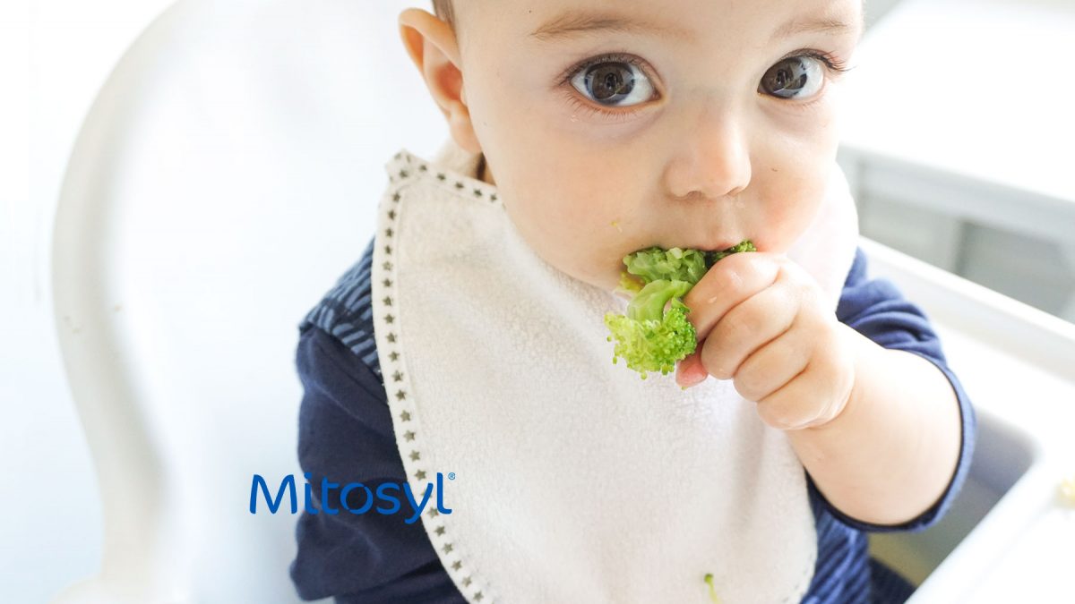 bebé e a comida, blw, baby led weaning, alimentação complementar